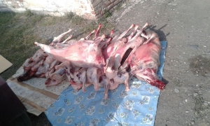 Раздача мяса жертвенных животных малоимущим семьям (фото)